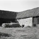 Ladugården i natursten och stråtak på Hagelstad nr. 6.