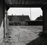 Bostadshus sett genom ett portlider.