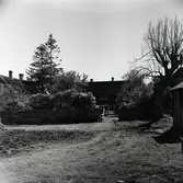 Motiv från gården Arbelunda 3:3.