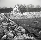 Borgruinen i Björnö, som är resterna av ett hus som Svante Bielke började bygga på 1600-talet.