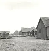 Ladugårdslängor vid E. Anderssons och V. Arvidssons gårdar.