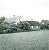 Eibert Anderssons gård från sydsidan.