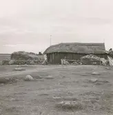Ladugård med stråtak på Klockholms gård.