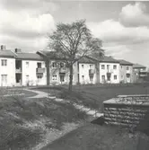 Hyreshus tillhörande Wollinska stiftelsen i Kalmar.