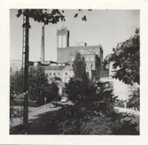 Ångkvarnen från vallen.