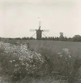 Kvarn vid Dalbytorp i Kastlösa.