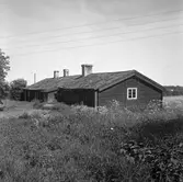 Envånings parstuga med särskild köksskorsten och spåntak.