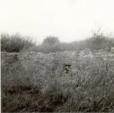 Grimskär, rester av skansen.