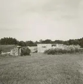 Hagelstad 5:4. Till vänster jordkällare, till höger ruin efter fähus.