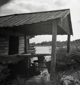 Gammal bod med svale.