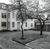 Flerfamiljshus på Linnégatan 3.