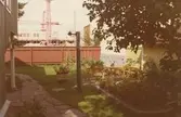 En trädgård i kvarteret Laken och Laxen. Bilderna är tagna inom ramen för Kalmar kommuns inventering av Kalmars bebyggelse 1970-1971 och skänkta till länsmuseet.