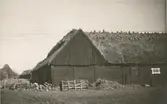 En ladugård med halmtak i Störlinge på Öland.