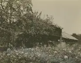 En knuttimrad bod i Hunsala.