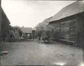 Motiv från en fägård i Drageryd.