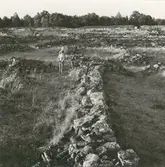 Ismantorps borg. Herr Bjeving i den husgrund där han fann 1500-talskniven.