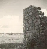 Motiv från Kronobäcks klosterruin.