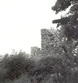 Motiv från Kronobäcks klosterruin.