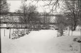Bergagården trädgården vintern 1940-01-15.
