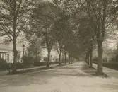 Småland, Kalmar, Gamla staden, Slottsvägen.