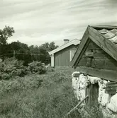 Åke Hedlunds stuga. En källare i förgrunden.