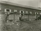 Motiv från en ladugård i Stensnäs.