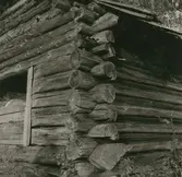 Knut på ängslada daterad 1764