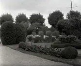 Nordvästra delen av trädgården