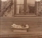 Text tillhörande fotot: 