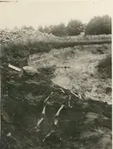 Gravundersökning 1938. Fynden bestod av skelett och spjutspets.