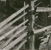 En gärdsgård i Madesjö.