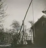 En brunnsvingel i Ljusås.