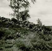 Gravfält på berget 300 meter sydost om Lund, mitt för Gladhammars kyrka. De stora rösena längst i söder.