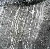 Bergart från berget vid hamnen vid Fågelvik.