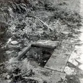 Resterna till Norrby brunn, en hälsobrunn som har haft en överbyggnad.