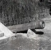 Kanon vid herrgården i Ankarsrum.