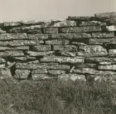 Stenmur vid vägen Brunneby - Resmo på alvaret.