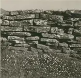 Stenmur vid vägen Brunneby - Resmo på alvaret.