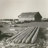 Bottengarnspålar vid Bruddestads fiskeläge.