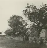 Äleklinta Norregård