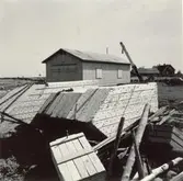 Ålsumpar, i bakgrunden livräddningsstation.