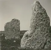 På östra landborgen, intill landsvägen, och halvkilometern norr om Seby by, ligger ett gravfält med 285 synliga fornlämningar. Gravarna består av ett röse, högar, stensättningar, en skeppssättning, hällkistor, kalkstensflisor och resta stenar, klumpstenar samt en skålgropsförekomst. De mycket varierande gravformerna och det höga gravantalet tyder på att gravfältet nyttjats under större delen av järnåldern. 


(Uppgifterna hämtade från http://www.ofhs.ltkalmar.se/oka/forhistoria/run_seby.htm)