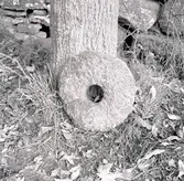 Kvarnsten ( underliggare )