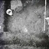 Skelettfynd i Äleklinta.