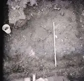 Skelettfynd i Äleklinta.