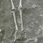 N skelettet, nedre delen med flintabiten i knähöjd, foto från NO.
Foto:Gunnel Forsberg oktober 1965.
