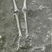 N skelettet, nedre delen med flintabiten i knähöjd, foto från NO.
Foto:Gunnel Forsberg oktober 1965.