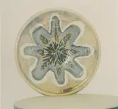 Keramiker Matz Nordell och silversmed Anders Molin. Verkstäder och utställning.