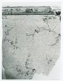 Tapeter funna i Krusenstiernska gården vid omtapetsering 1970.