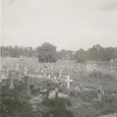 Motiv från kyrkogården vid Misterhults kyrka.
